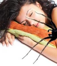 Why does a girl dream about cobwebs?