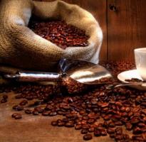 Adivinhação online sobre grãos de café