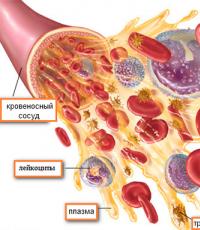 MedAboutMe - Лейкоцити: норма, підвищений та знижений рівень Що показують лейкоцити в аналізі крові