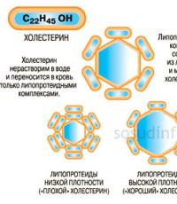 Από τι αποτελείται η χοληστερόλη: σύνθεση, ιδιότητες, τύπος, δομή Μοριακός τύπος χοληστερόλης